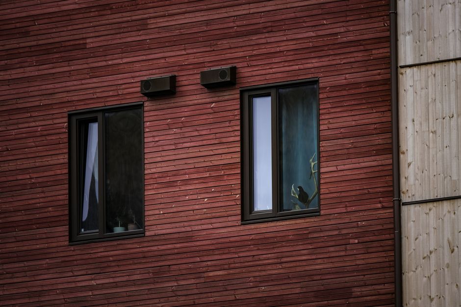Modern home exterior featuring new replacement windows